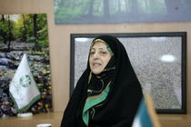 کاهش مرگ و بیماری های ناشی از آلودگی هوا در دولت یازدهم