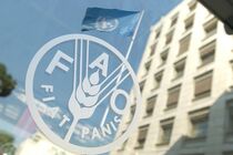 کاهش قیمت جهانی مواد غذایی در بحران کرونا