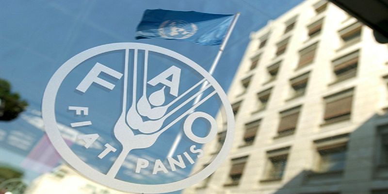کاهش قیمت جهانی مواد خوراکی در ماه ژوئن
