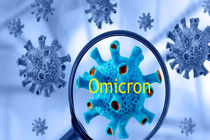 امیکرون در خراسان رضوی در حال افزایش است