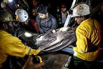 بسیاری از وعده‌های مسوولان در حد وعده باقی ماند