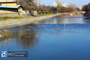 طرح انتقال آب در جریان طبیعی رودخانه کرج تاثیر نمی گذارد