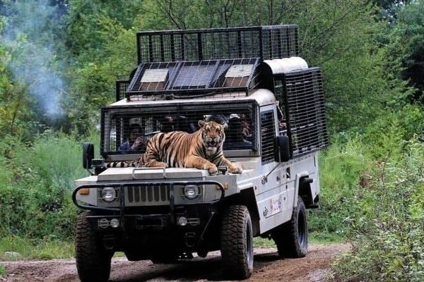 مجوز محیط زیستی فعالیت پارک حیات‌وحش الیمالات نور تعلیق شد