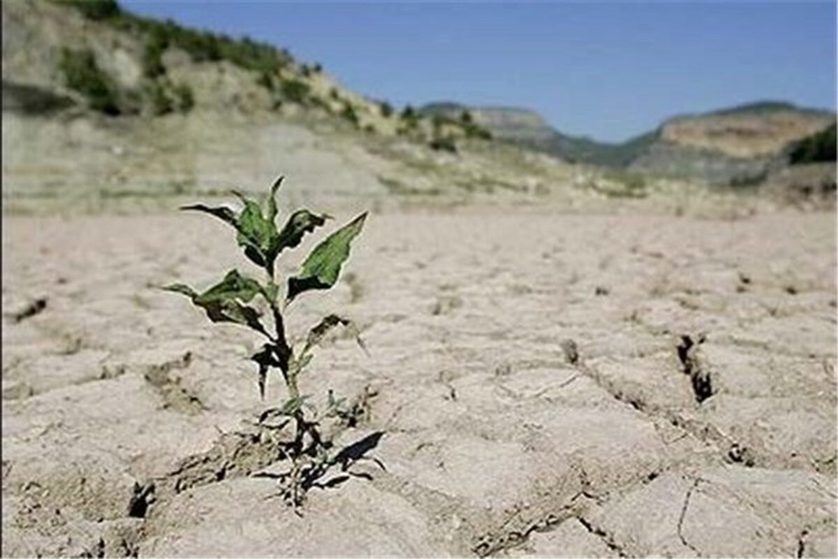کاهش باران در خراسان رضوی
