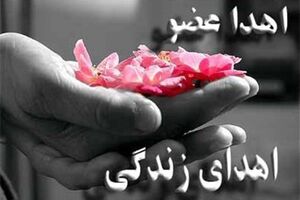 اهدای کبد بیمار مرگ مغزی به بیمار نیازمند در اصفهان