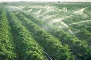 ۳هزار و ۱۱۷میلیارد تومان اعتبار برای سامانه های نوین آبیاری