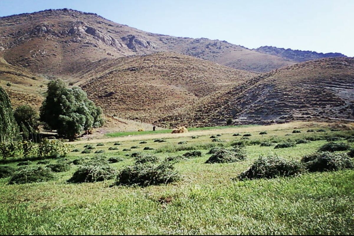 محیط زیست سقز