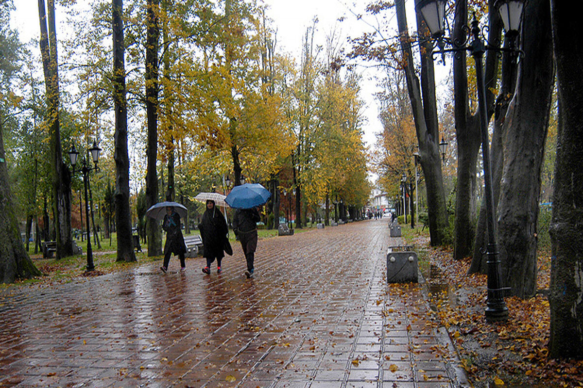 بارش باران در گیلان