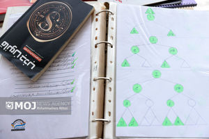 ۹ باند شرکت‌های هرمی در خراسان‌رضوی متلاشی شد