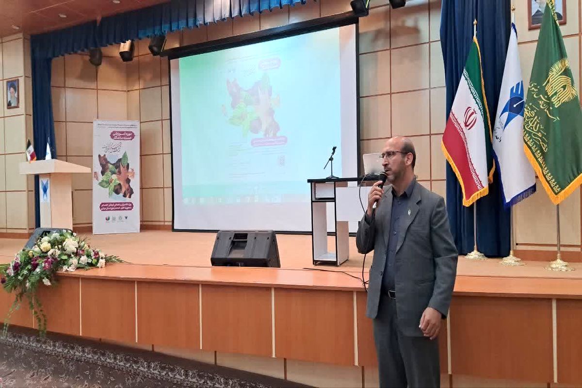 تسهیل‌گر جوانی جمعیت