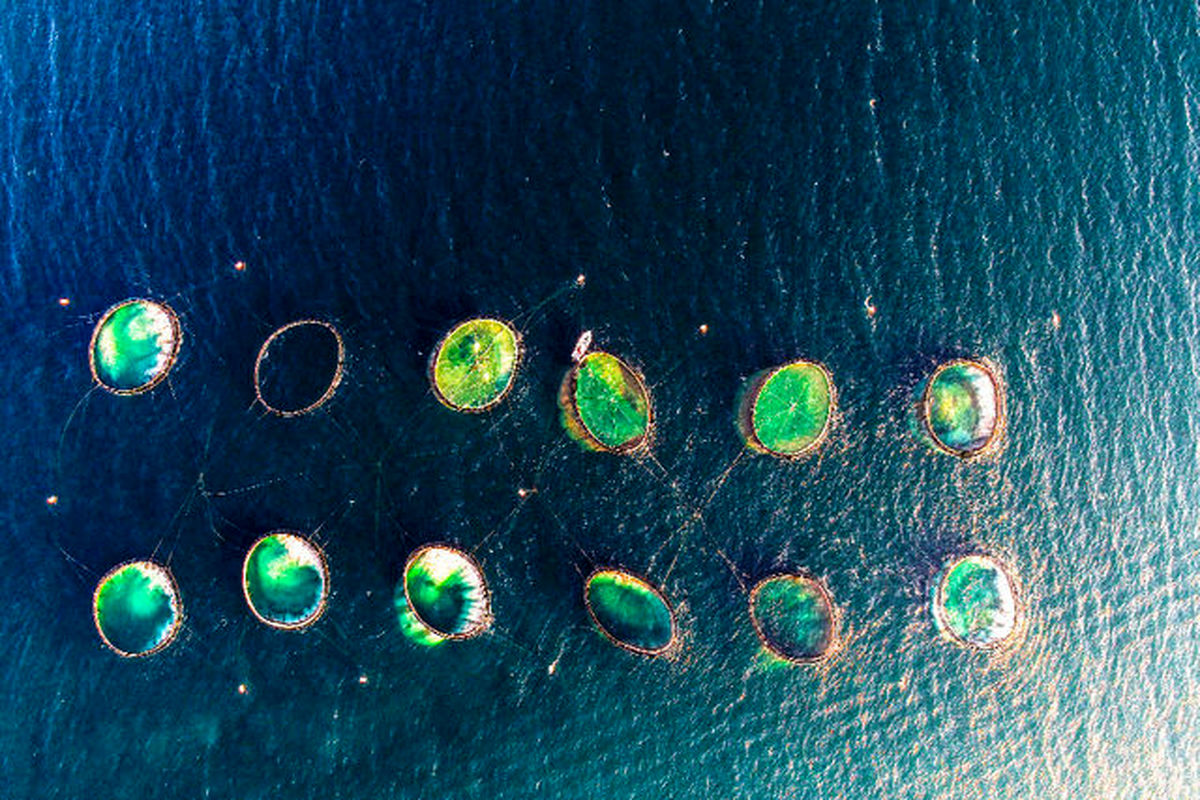 منطقه آزد قشم