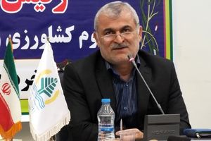 رفع نیازهای داخلی از طریق تولیدات بومی و دانشگاهی در شرایط کوتاه محقق نمی شود