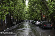 هشدار هواشناسی درباره رگبار و رعد و برق در ۹ استان کشور