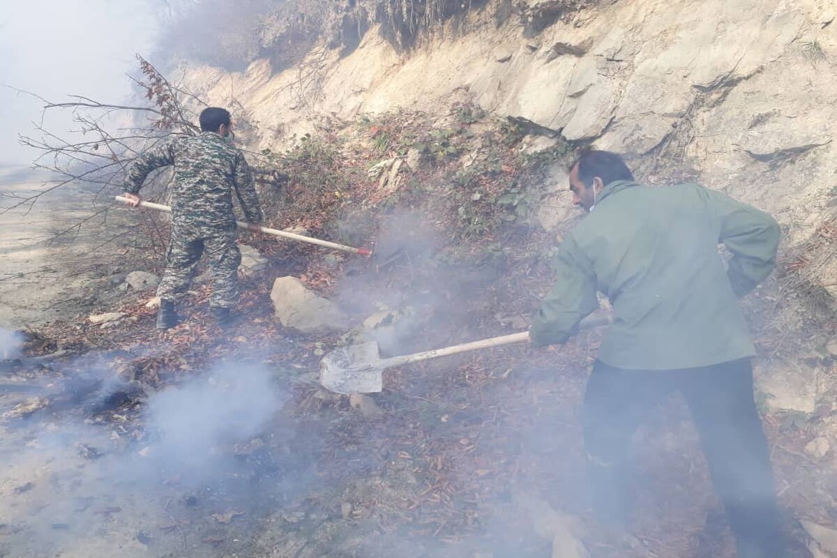 آتش سوزی جنگل ویسر کجور