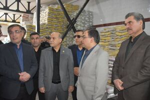 ذخایر کالاهای اساسی فارس در وضعیت مطلوب است/ پرهیز از خرید هیجانی