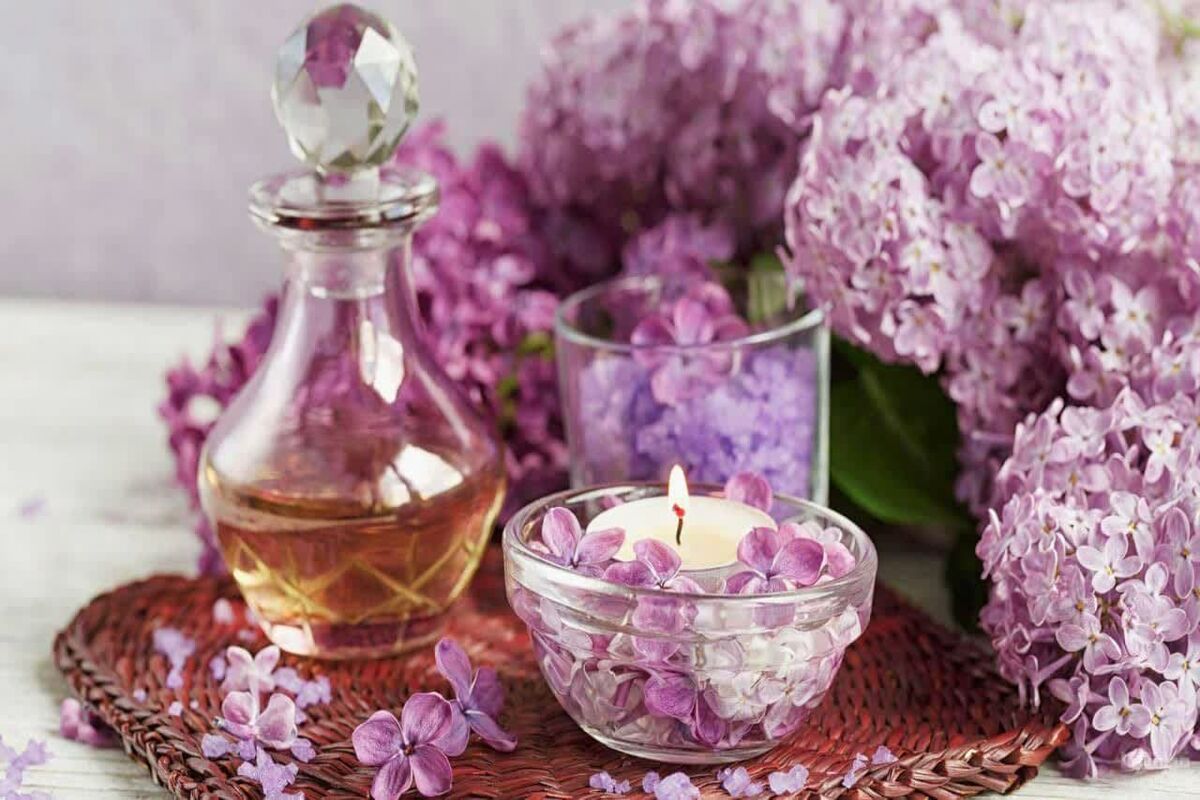 گل محمدی
