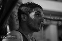 مسابقات بوکس جام رمضان