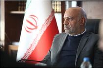 وزیر کار از  تولید لاستیک در کشور با ظرفیت کامل  خبر داد