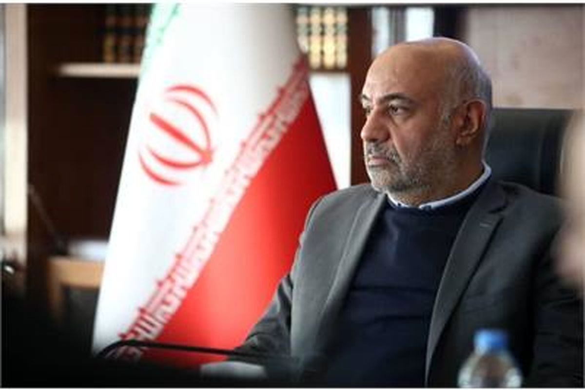 احمد میدری، وزیر تعاون