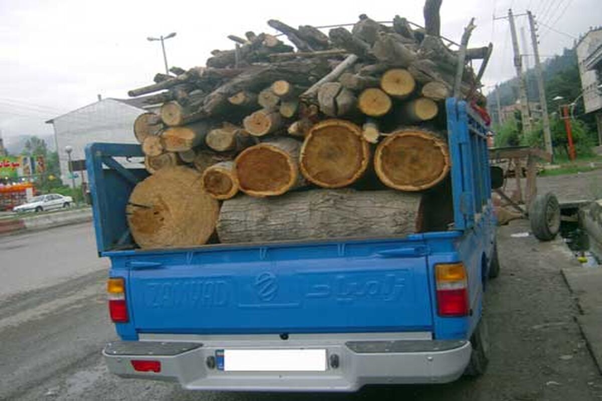 قاچاق چوب در مازندران