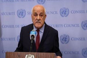نماینده فلسطین در سازمان ملل بر ضرورت فشار عملی بر رژیم صهیونیستی تأکید کرد