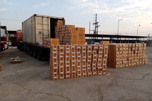 واردات موز با ارز آزاد باید کیلویی ۲۰ هزار تومان باشد / رانت واردات موز در دست عده ای قرار دارد!