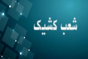 اعلام شعب کشیک بانک توسعه صادرات ایران تا پایان شهریورماه سال جاری