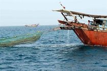 آزادی صیادان بازداشت شده ایرانی توسط عربستان