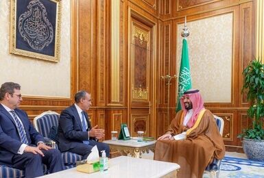 وزیر امور خارجه مصر با بن سلمان در ریاض دیدار کرد
