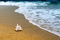 اجرای پیاده راه های ساحلی در حریم دریا در کیش/ دسترسی گردشگران به همه نقاط ساحلی حقی قانونی است.