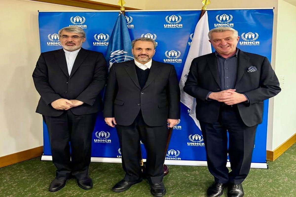 کمیسر عالی پناهندگان