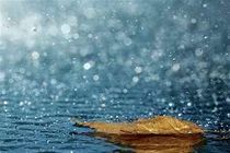 تداوم بارش باران و برف در اکثر مناطق استان اصفهان 