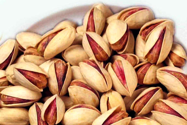 رشد ۲۵۰ درصدی صادرات پسته ایران