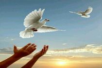 عواید جشنواره تئاتر زندانها صرف آزادی زندانیان جرایم غیرعمد می شود