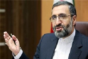 دادسرا مجاز به انجام تحقیق اولیه در پرونده ستایش نیست