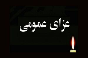 هیئت دولت سه روز عزای عمومی به پاس شهدای نبرد مقاومت ملی ایرانیان اعلام کرد