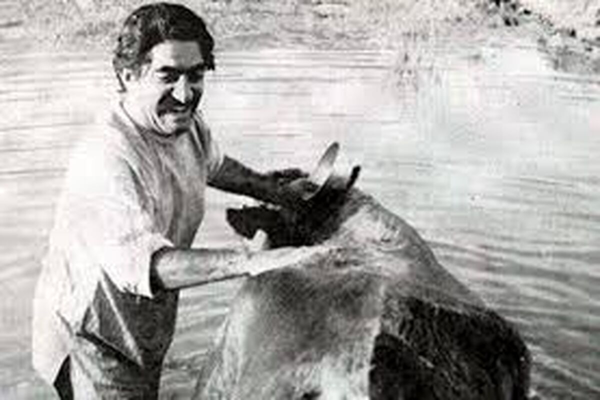 فیلم سینمایی گاو