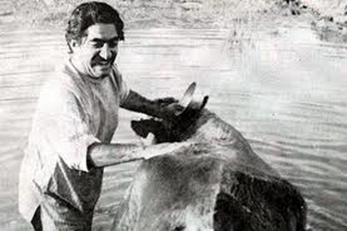 فیلم سینمایی گاو