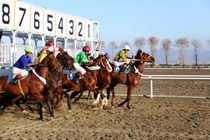 سوارکاران منطقه آزاد قشم در مسابقات هرمزگان خوش درخشیدند