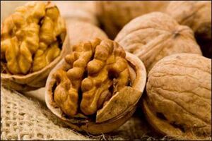 توقیف محموله میلیاردی گردوی قاچاق در شهرضا 