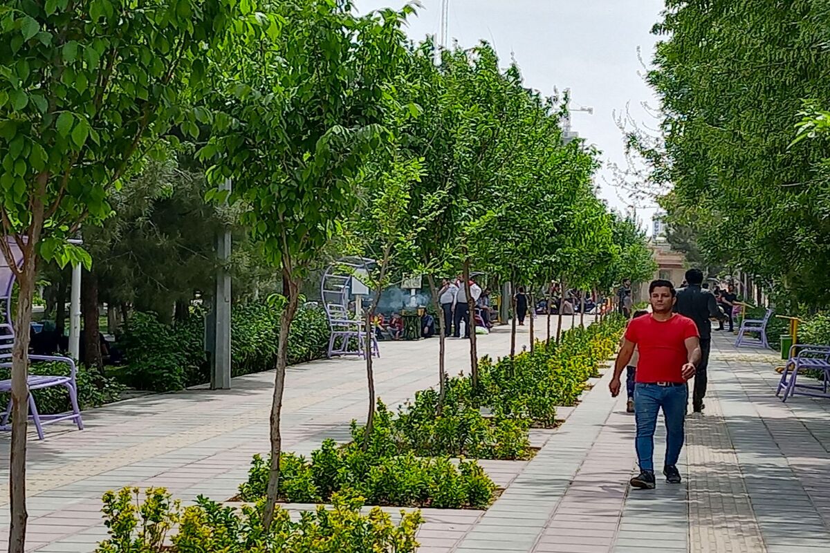 فضای سبز