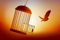 صندوق تامین خسارت‌های بدنی از حبس ۶۰ هزار نفر پیشگیری کرد