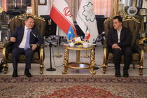 تبریز، شهری با ظرفیت های فراوان برای توسعه روابط با بریکس است