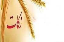 پرداخت 33 میلیارد و 800 میلیون تومان زکات توسط هرمزگانی‌ها