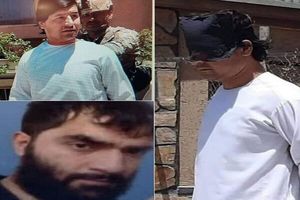 ISIL operator arrested in Iranian Alborz province