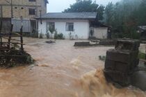 قطعی گاز ۴۰ خانوار در خانقاه تالش/ آسیب دیدگی زیرساخت های چند راه روستایی