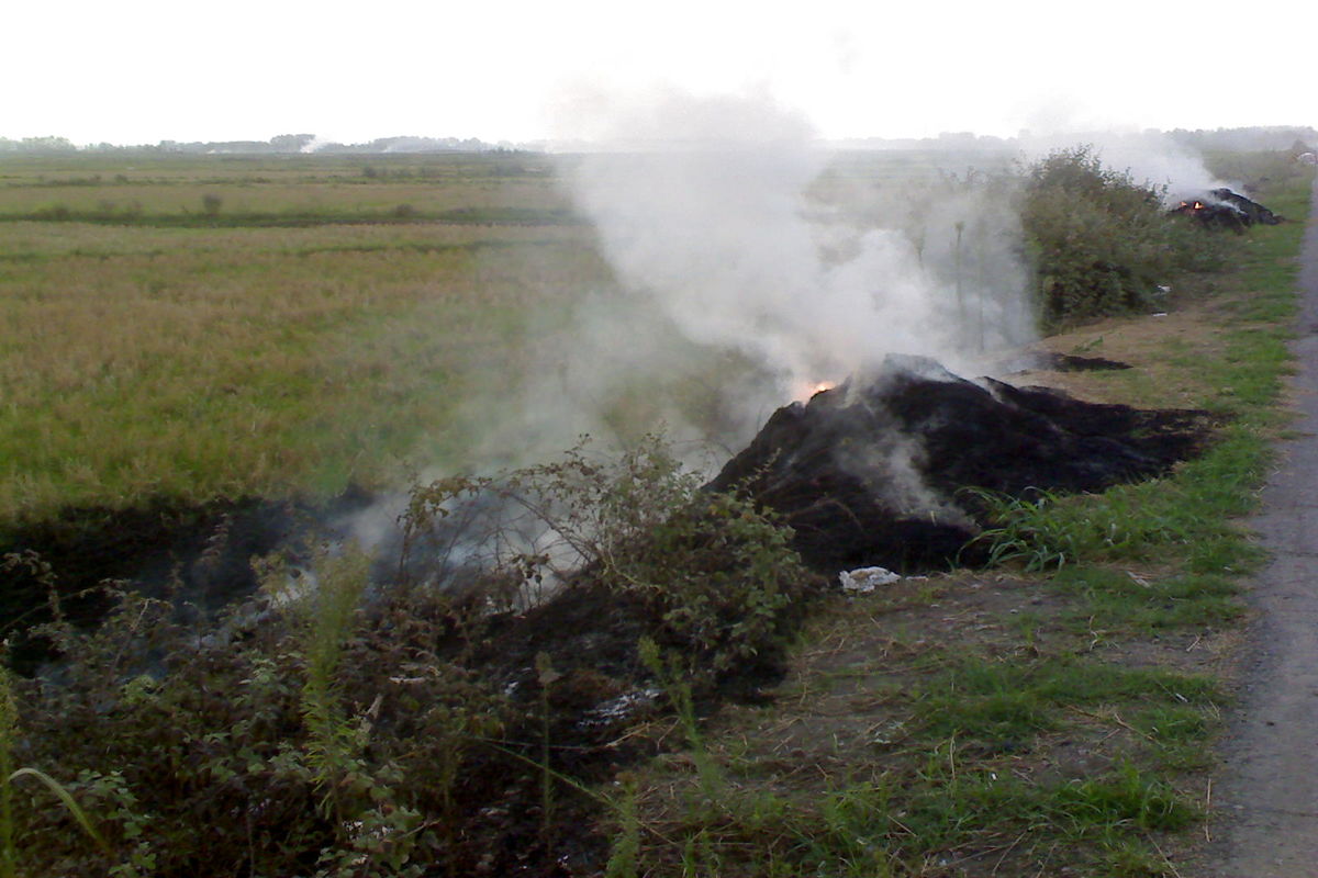 ضایعات کشاورزی