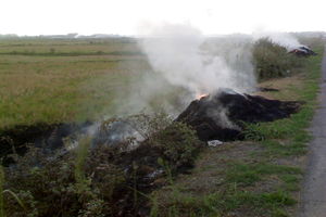 الودگی هوا در نتیجه سوزاندن ضایعات کشاورزی از جمله معضلات عمده محیط زیستی استان  است