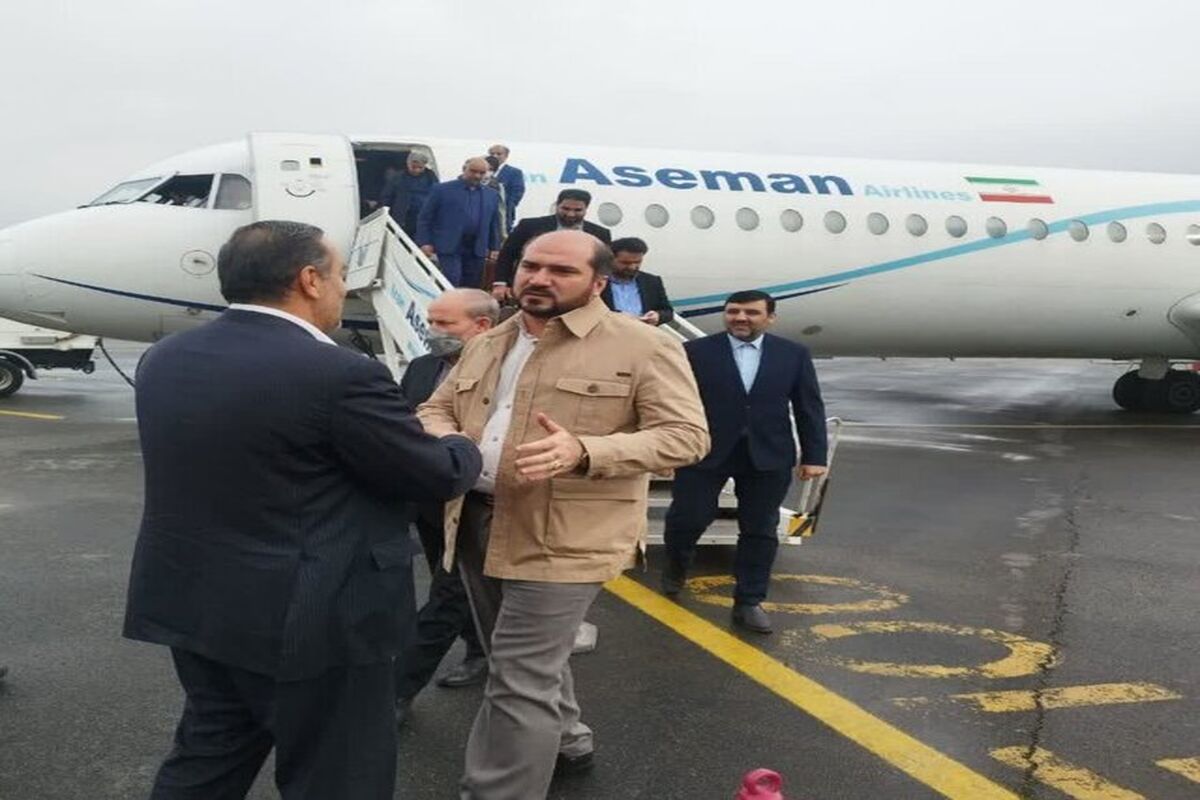 معاون اجرایی