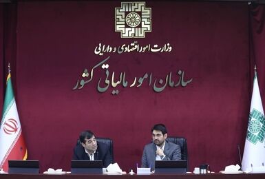 وزارت ورزش و سازمان امور مالیاتی برای بخشودگی جرایم سنواتی فدراسیون‌ها توافق کردند